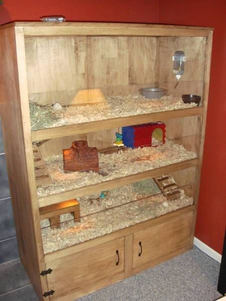 Top 70 of How To Build A Guinea Pig Hutch | cftcmrs3