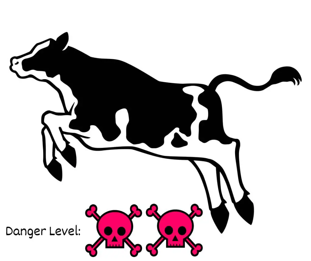 Illustration einer Kuh mit zwei Totenköpfen und gekreuzten Knochen.