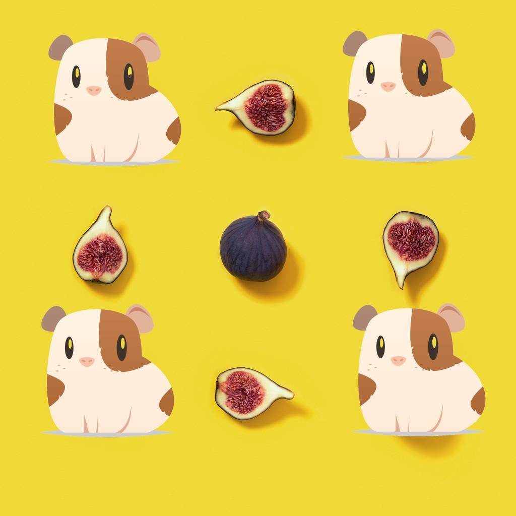 Meerschweinchen und Feigen auf gelbem Hintergrund.